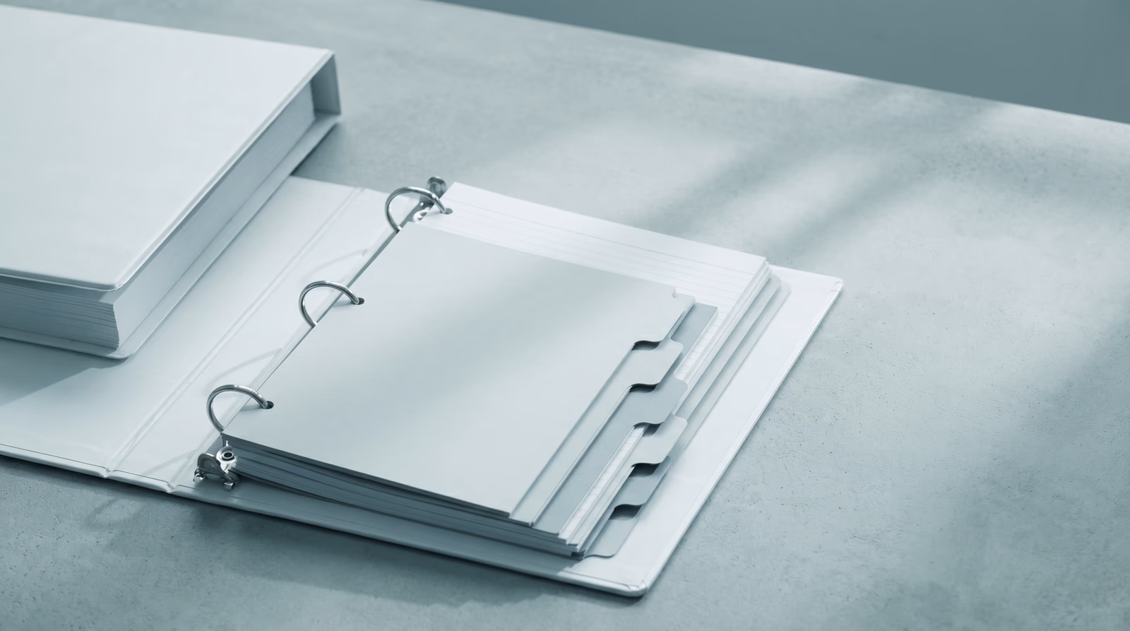 An open ring binder with neatly organized blank tabbed dividers and plain cards, representing design system documentation structure and governance organization