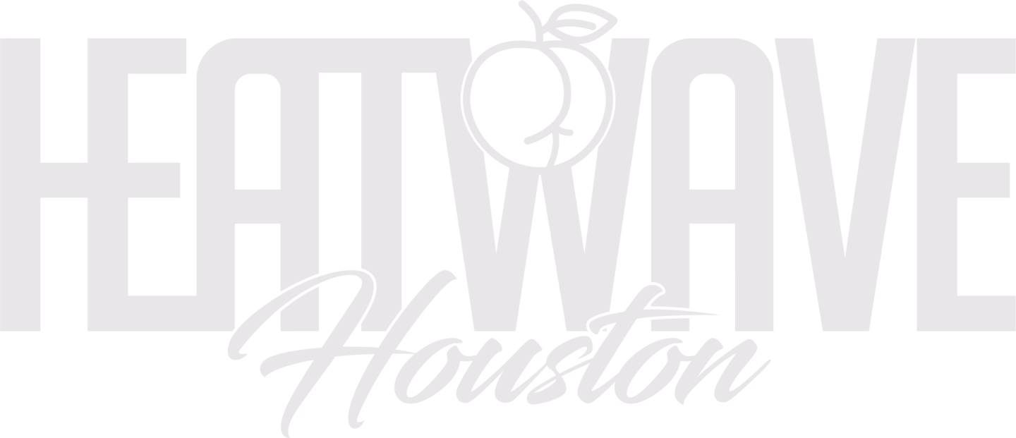 Heatwave Houston light reverse full lockup logo reconstructed by Desque