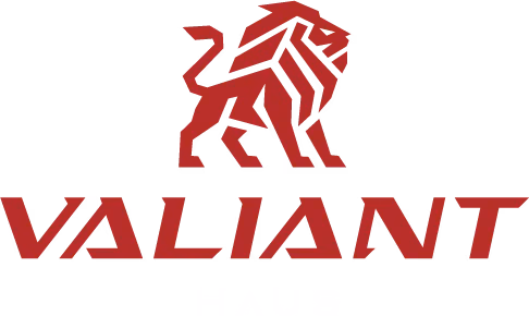 Valiant Haus primary full logo designed by Desque