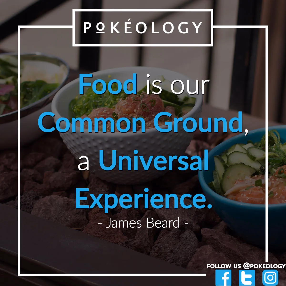Pokeology Instagram community post designed by Desque