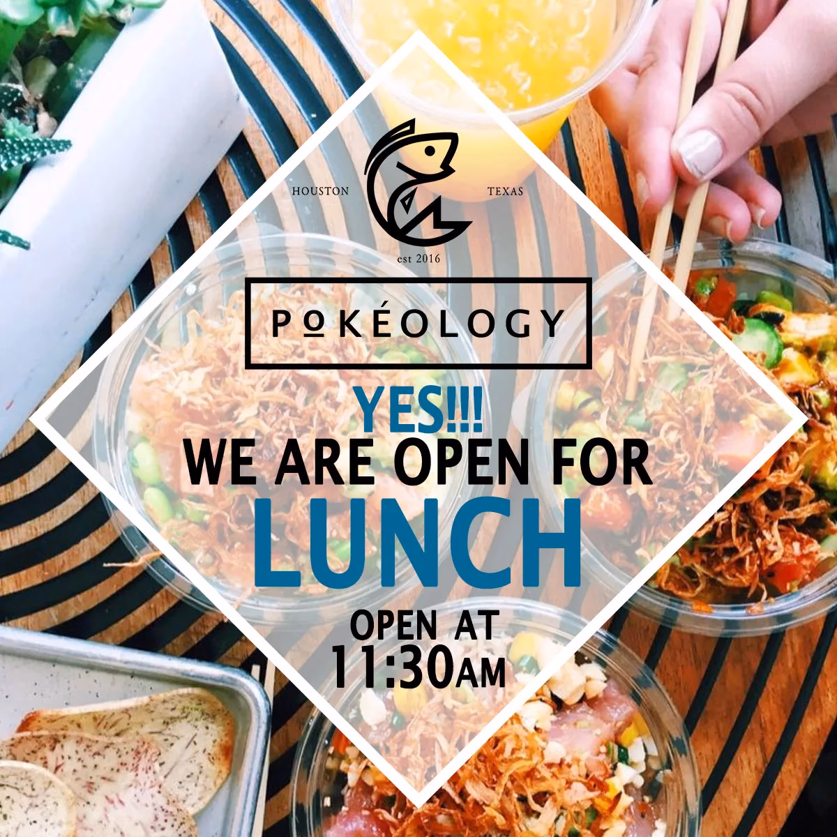 Pokeology Instagram lunch promotion post designed by Desque