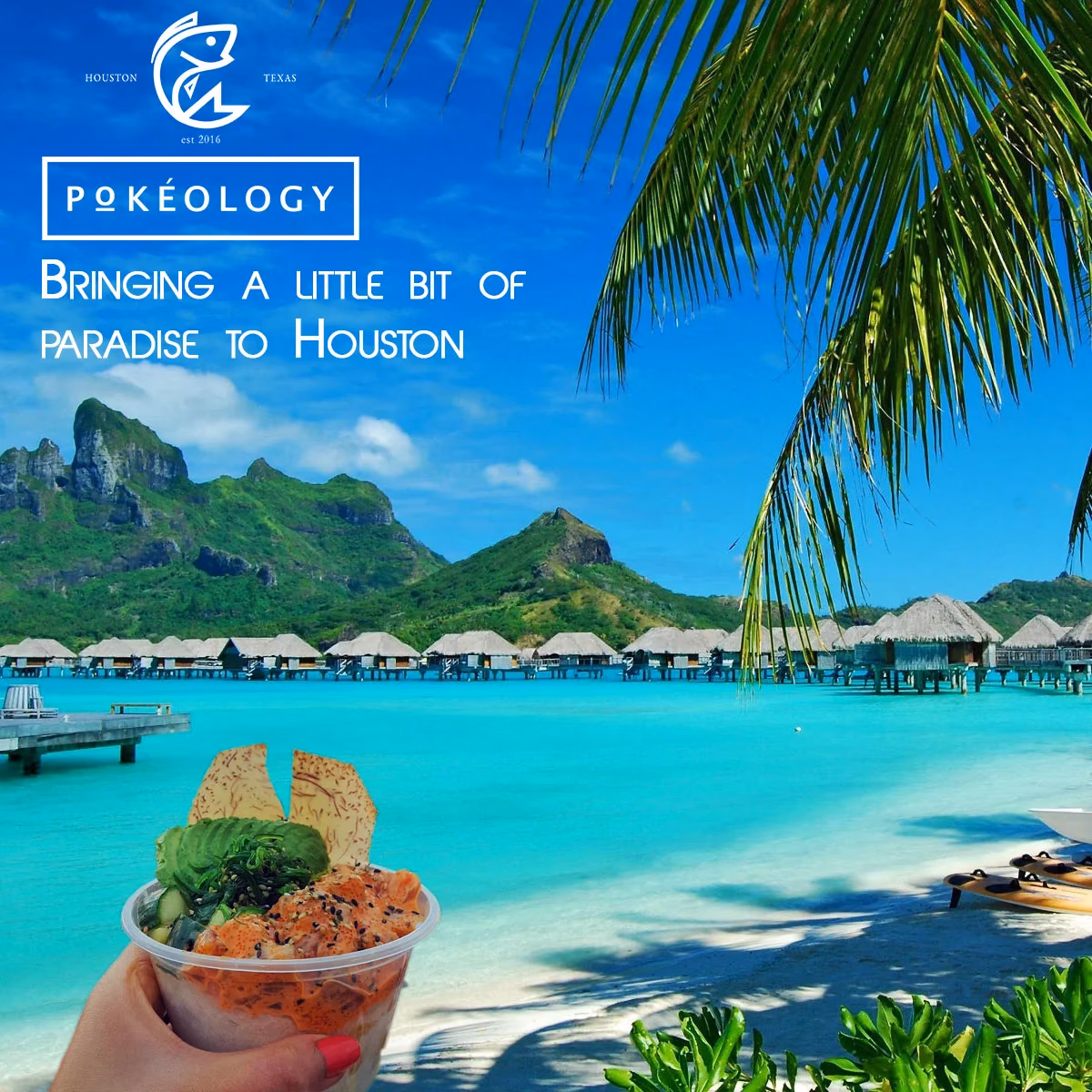 Pokeology Instagram Paradise post designed by Desque