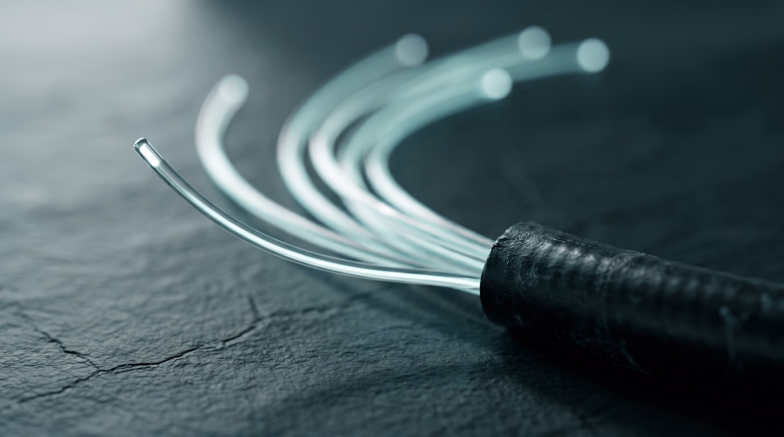 Fiber optic cable bundle splitting into glowing strands, representing diverging web development trends and technology decisions for 2026