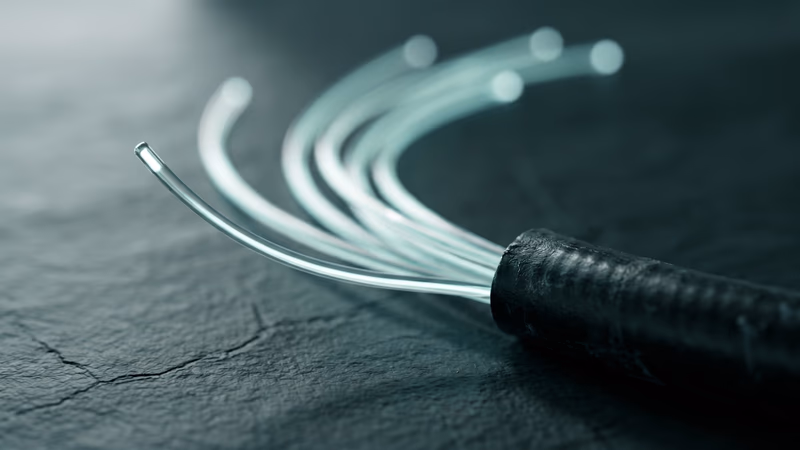 Fiber optic cable bundle splitting into glowing strands, representing diverging web development trends and technology decisions for 2026