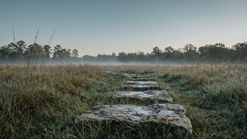 Flat limestone stepping stones lead in a line across a dewy prairie meadow in a Houston park at first light, toward low mist and a distant line of pines